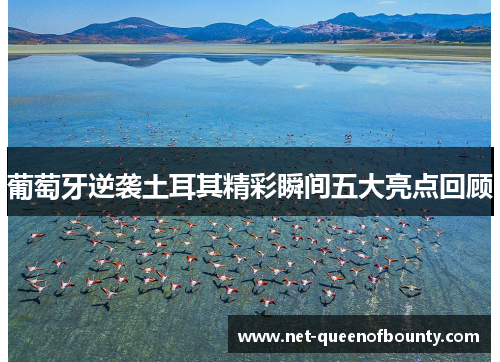 葡萄牙逆袭土耳其精彩瞬间五大亮点回顾