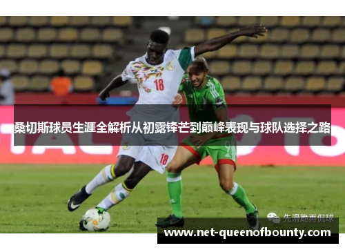 桑切斯球员生涯全解析从初露锋芒到巅峰表现与球队选择之路