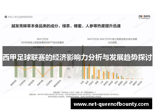 西甲足球联赛的经济影响力分析与发展趋势探讨