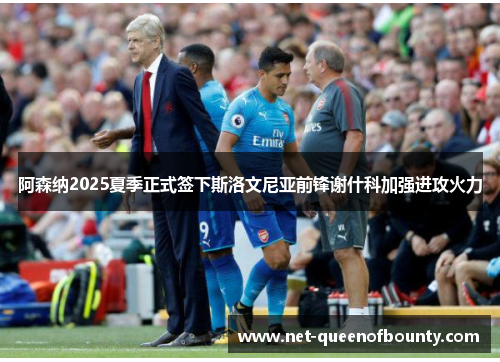 阿森纳2025夏季正式签下斯洛文尼亚前锋谢什科加强进攻火力 阿森纳2025夏季正式签下斯洛文尼亚前锋谢什科加强进攻火力